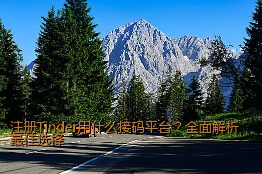 注册Tinder用什么接码平台？全面解析最佳选择