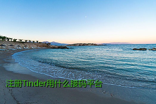 注册Tinder用什么接码平台