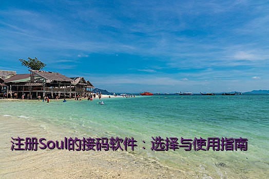 注册Soul的接码软件：选择与使用指南