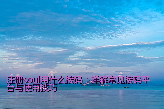 注册soul用什么接码：详解常见接码平台与使用技巧
