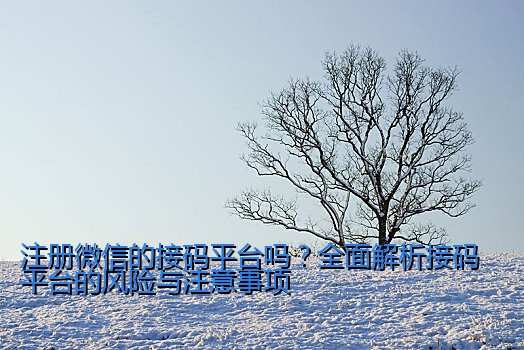 注册微信的接码平台吗？全面解析接码平台的风险与注意事项
