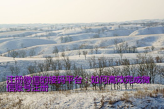 注册微信的接码平台：如何高效完成微信账号注册