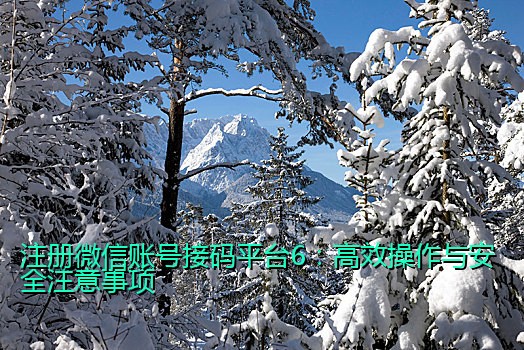 注册微信账号接码平台6：高效操作与安全注意事项