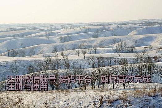 注册微信账号 接码平台：如何高效完成注册与使用