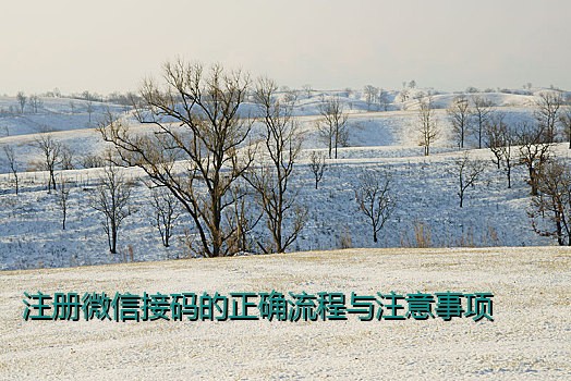 注册接验证码苹果：如何安全高效地完成苹果设备的注册流程