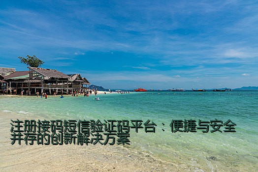 注册接码短信验证码平台：便捷与安全并存的创新解决方案