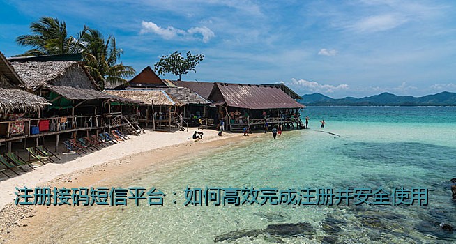 注册接码短信平台：如何高效完成注册并安全使用