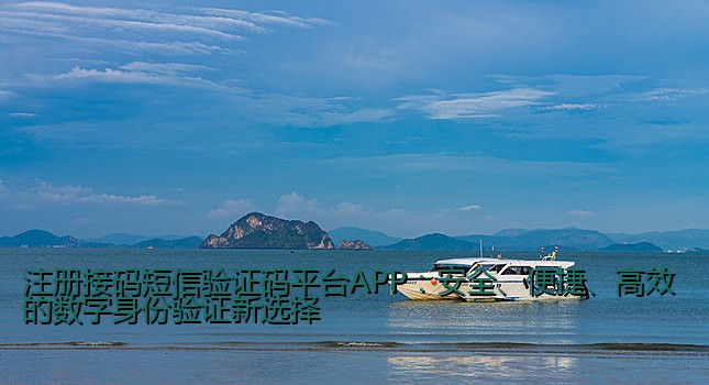 注册接码短信验证码平台APP：安全、便捷、高效的数字身份验证新选择