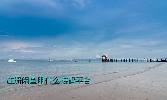 注册闲鱼用什么接码平台