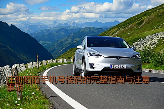 注册陌陌手机号接码的完整指南与注意事项