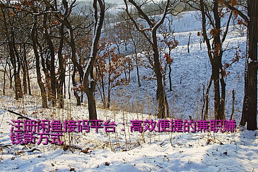 注册闲鱼接码平台：高效便捷的兼职赚钱新方式