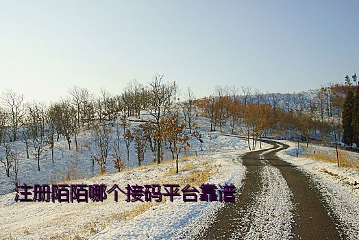 注册陌陌哪个接码平台靠谱