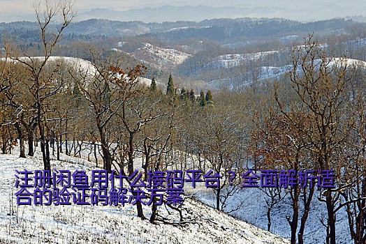 注册闲鱼用什么接码平台？全面解析适合的验证码解决方案