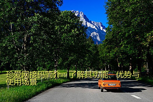 珍爱网接码简介：了解其功能、优势与使用场景