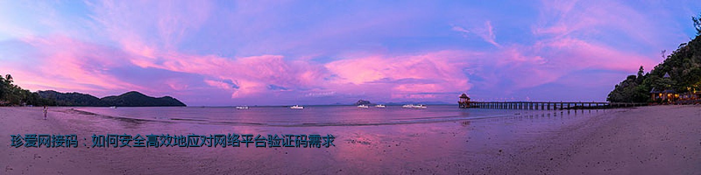 珍爱网接码：如何安全高效地应对网络平台验证码需求