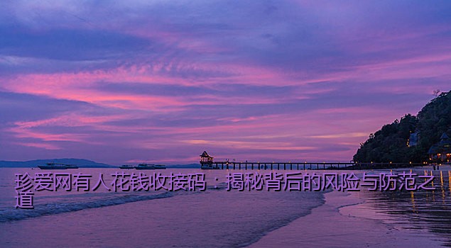珍爱网有人花钱收接码：揭秘背后的风险与防范之道