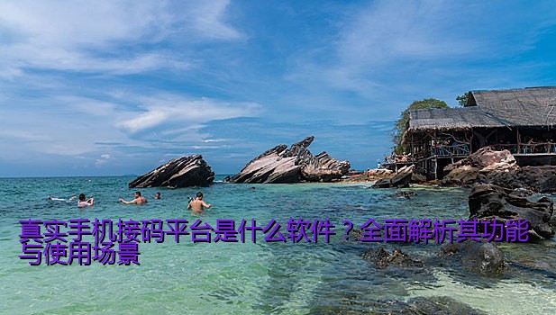 真实手机接码平台是什么软件？全面解析其功能与使用场景