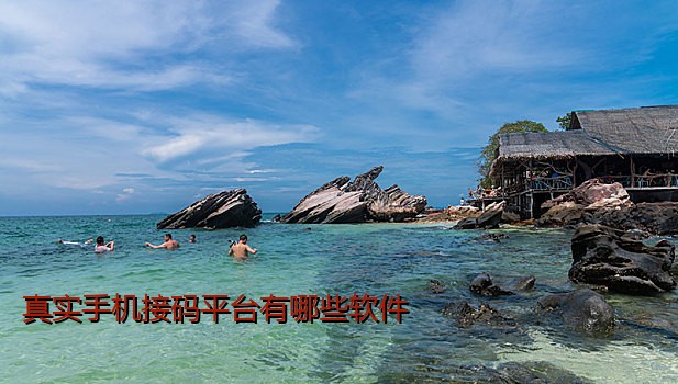 真实手机接码平台有哪些软件