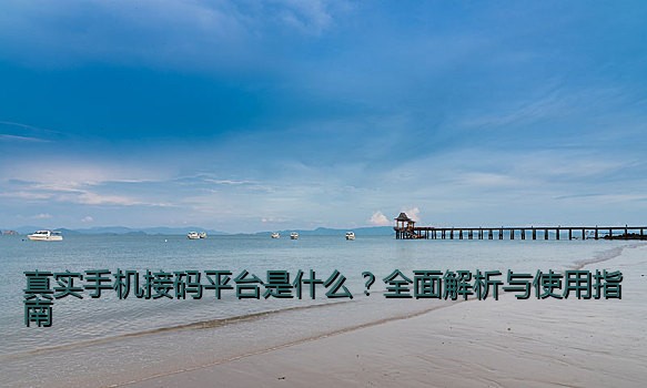 真实手机接码平台是什么？全面解析与使用指南