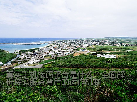 真实手机接码平台是什么？全面解析接码服务背后的运作机制