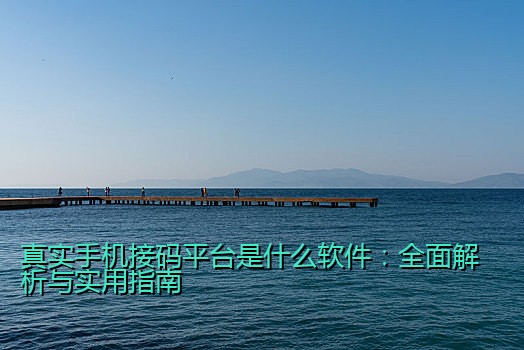 真实手机接码平台是什么软件：全面解析与实用指南