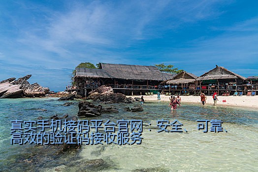 真实手机接码平台官网：安全、可靠、高效的验证码接收服务