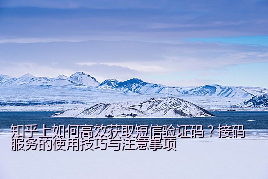 知乎上如何高效获取短信验证码？接码服务的使用技巧与注意事项