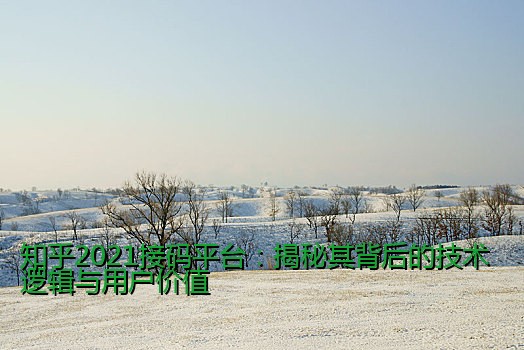 知乎2021接码平台：揭秘其背后的技术逻辑与用户价值