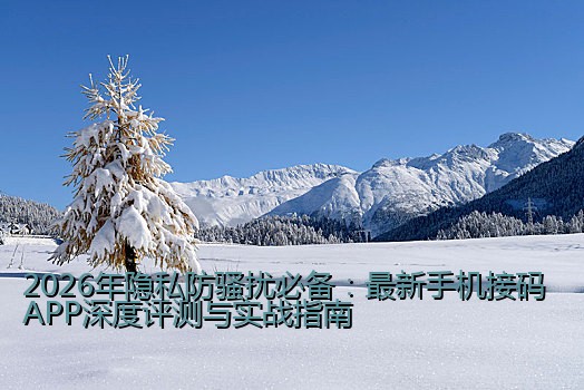2026年隐私防骚扰必备：最新手机接码APP深度评测与实战指南