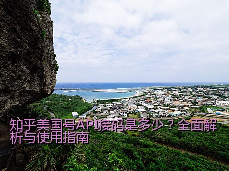 知乎美国号API接码是多少？全面解析与使用指南