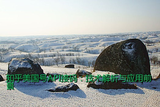 知乎美国号API接码：技术解析与应用前景