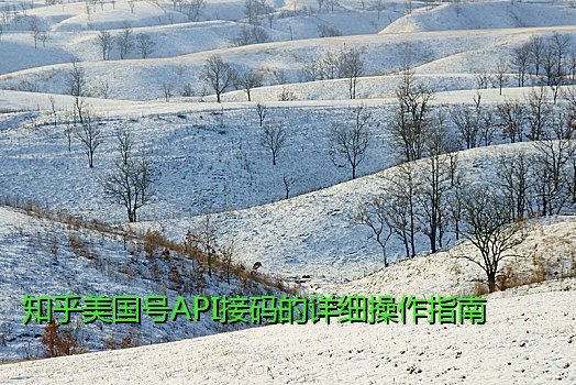 知乎美国号API接码的详细操作指南