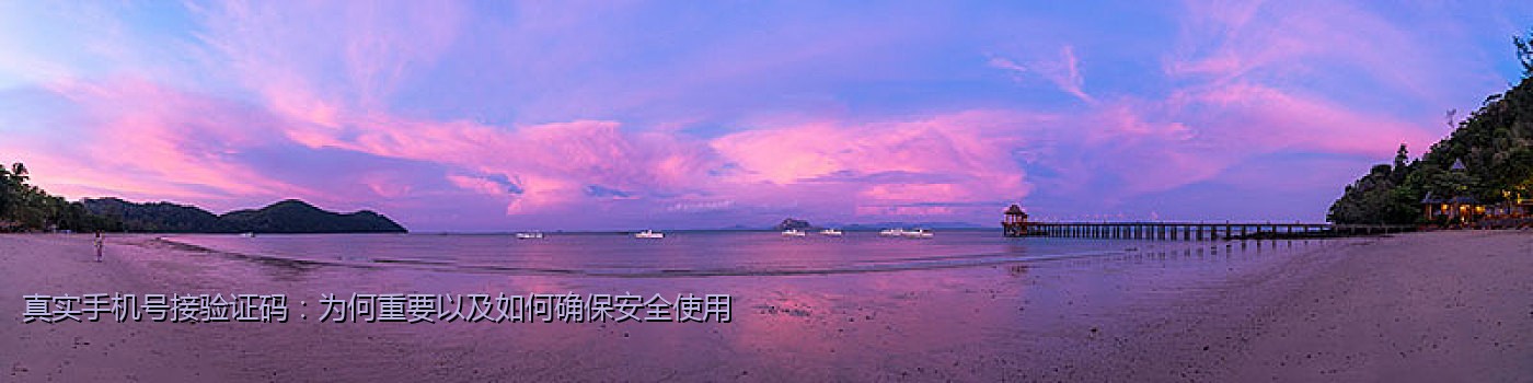 知乎美国号API接码是什么？全面解析与使用指南
