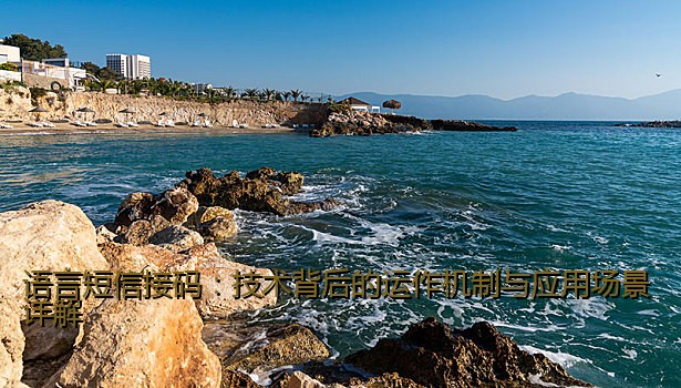 语言短信接码：技术背后的运作机制与应用场景详解