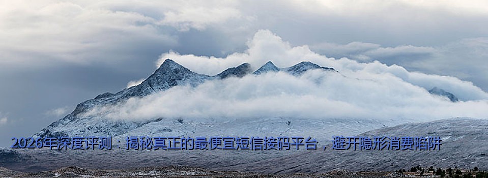 2026年深度评测：揭秘真正的最便宜短信接码平台，避开隐形消费陷阱