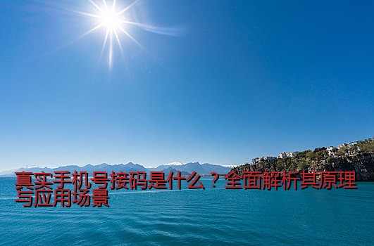 详解支付宝接码号的使用步骤与注意事项