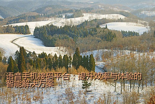 语音手机接码平台：提升效率与体验的智能解决方案