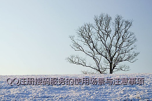 QQ注册接码服务的使用场景与注意事项