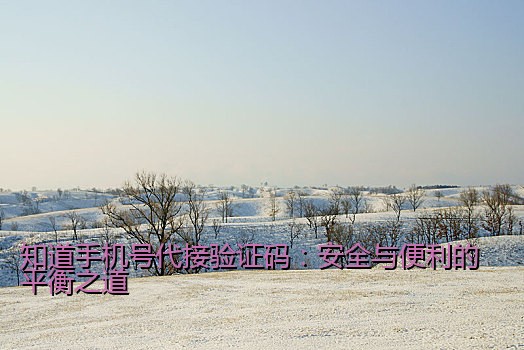 QQ接码轰炸工具使用方法及注意事项