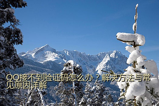 QQ接不到验证码怎么办？解决方法与常见原因详解