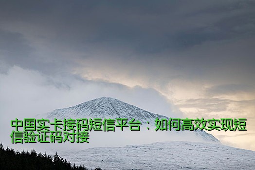 中国实卡接码短信平台：如何高效实现短信验证码对接