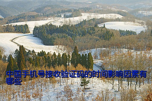 中国手机号接收验证码的时间影响因素有哪些