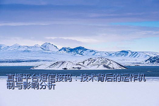 中国手机免费接码：技术背后的现实应用与风险提醒