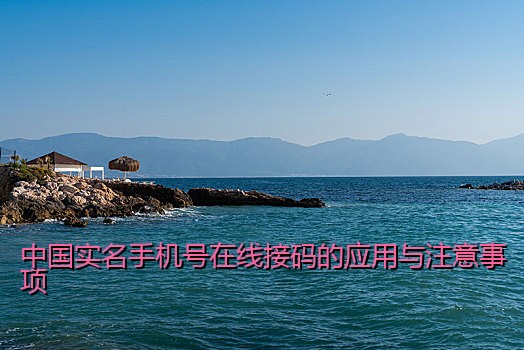 中国实名手机号在线接码的应用与注意事项