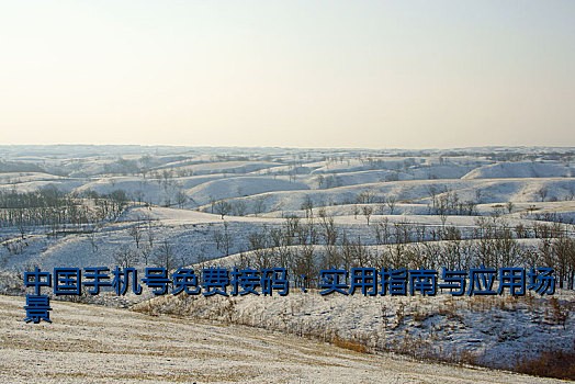 中国手机号免费接码：实用指南与应用场景