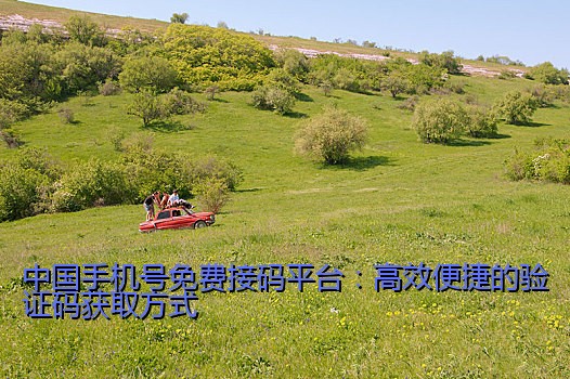中国手机号免费接码平台：高效便捷的验证码获取方式