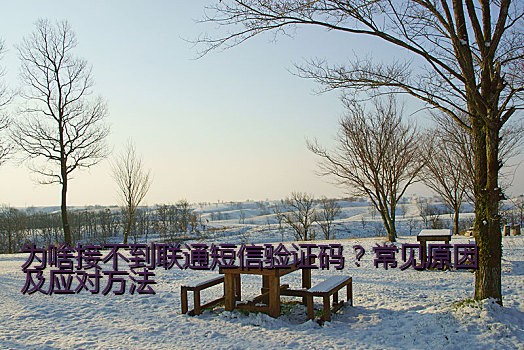 为啥接不到联通短信验证码？常见原因及应对方法