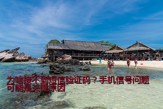 为啥接不到短信验证码？手机信号问题可能是关键原因