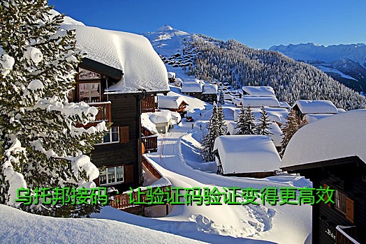 乌托邦接码：让验证码验证变得更高效