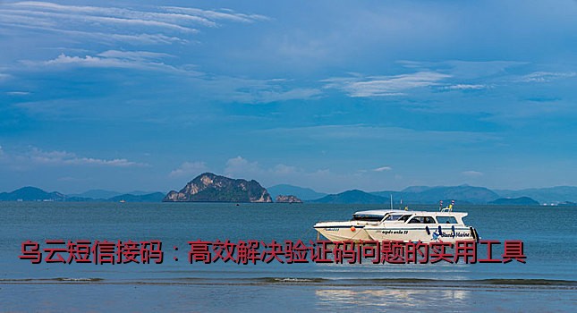 乌云短信接码：高效解决验证码问题的实用工具
